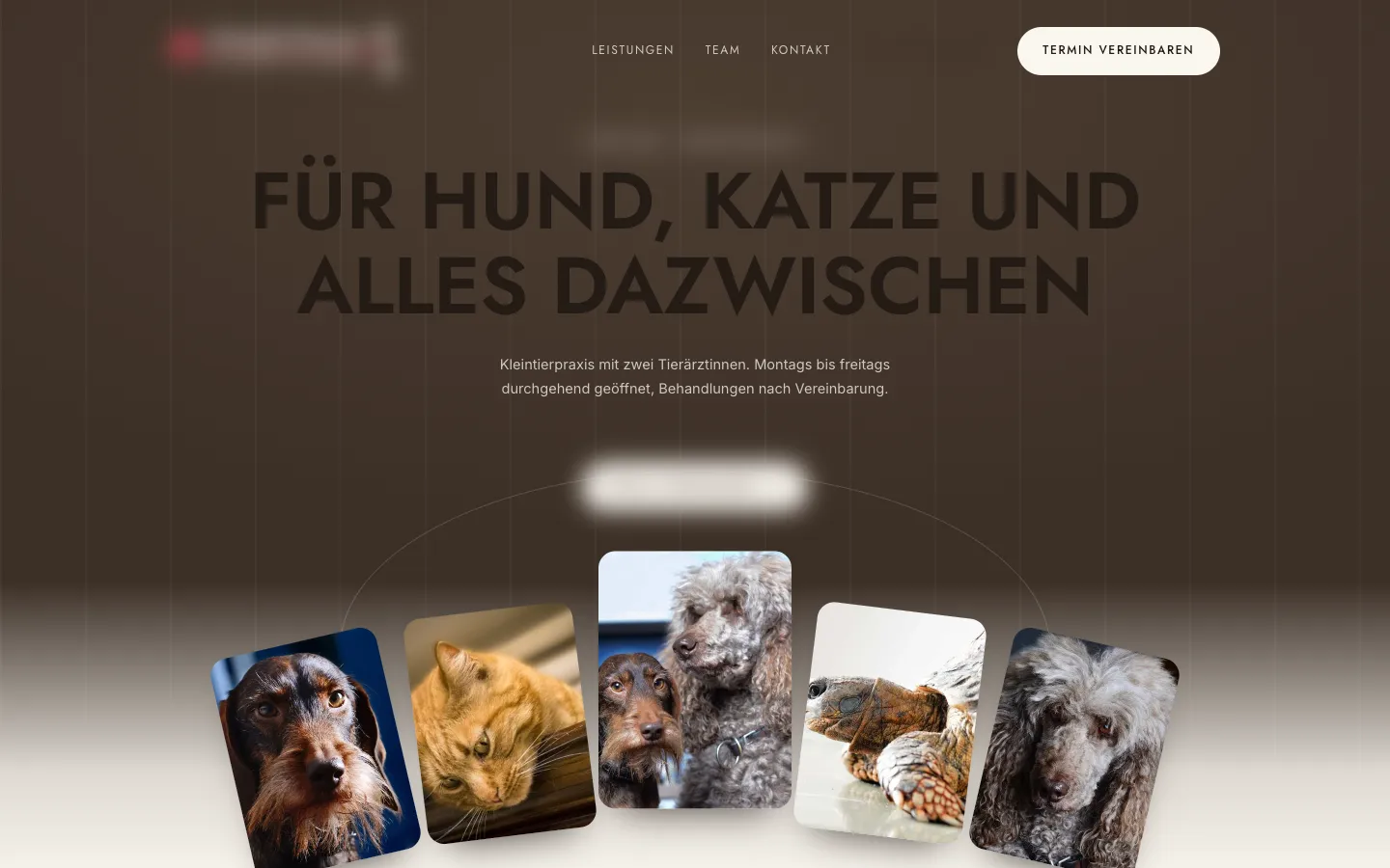 Website-Design für eine Tierarztpraxis